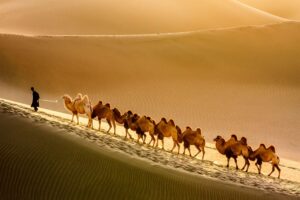 SILK ROAD Culture Exhibition in Afghanistan